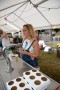 Thumbs/tn_Loungefest 2015 0617.jpg